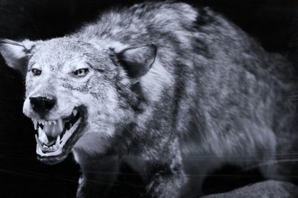 3 Zodiako ženklai, kurie neatleis, jei įskaudinsite jų artimuosius