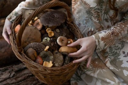 Greitas grybų valymas. Grybautojas papasakojo apie 3 minučių gudrybę