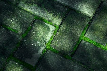 Kaip pašalinti žalią dangą nuo grindinio: purkškite ir stebėkite rezultatą