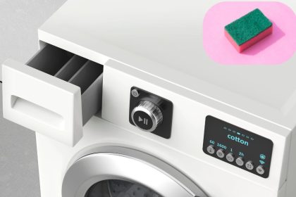 Įdėkite kempinę į skalbimo priemonių stalčių ir įpilkite vieną ingredientą – pelėsis dings akimirksniu!