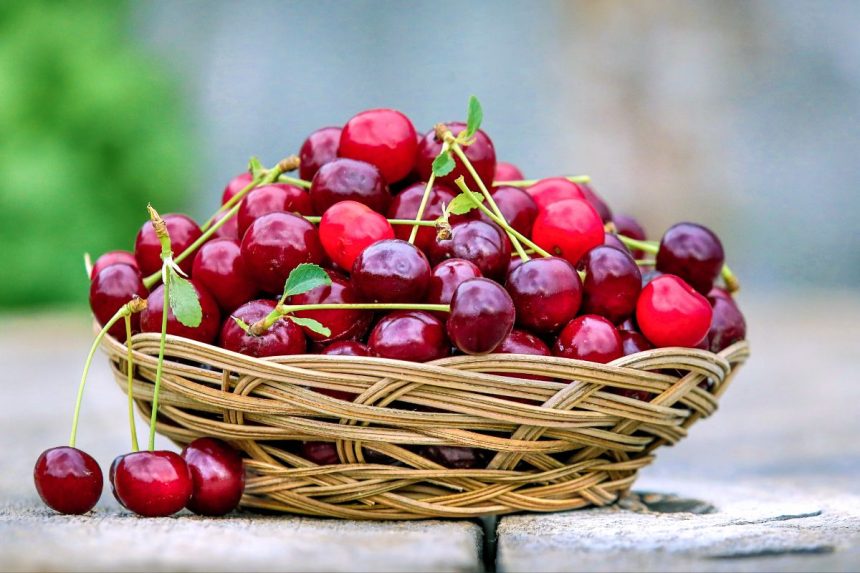 Kas visiškai negali valgyti vyšnių