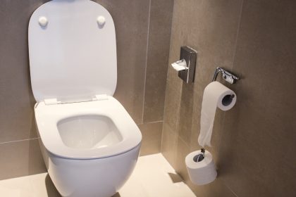 Tualetų valymas: Efektyviausi būdai švarai ir gaivai užtikrinti
