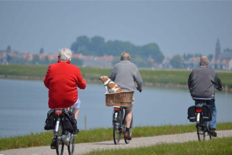 Patarimai užimtiems (ir tingiems) sodininkams: ką sodinti, kad nereikėtų daug priežiūros?