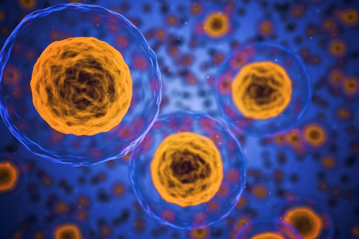Herpesas taps vaistu nuo vėžio: liepą FDA ketina patvirtinti herpes virusą vėžio gydymui