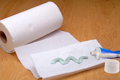 Nepatikėsite: dantų pasta gali padėti nuo uodų! Paprastas triukas vasarai