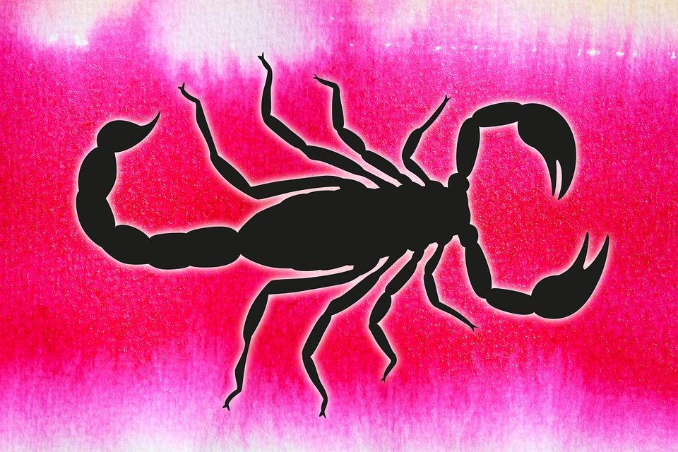 Nepatenkinti Zodiako ženklai: kurie iš jų sunkiai toleruoja kitų trūkumus