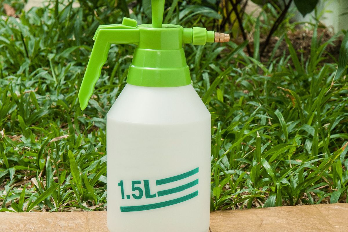 Sode be chemikalų: kaip paruošti natūralų insekticidą ir fungicidą?