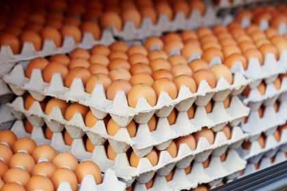 Kaip ilgiau išsaugoti kiaušinius? Geriausi konservavimo būdai
