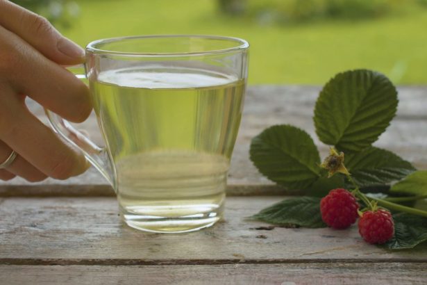 Kaip teisingai rinkti ir ruošti aviečių lapų arbatą: kvapas ir skonis garantuoti