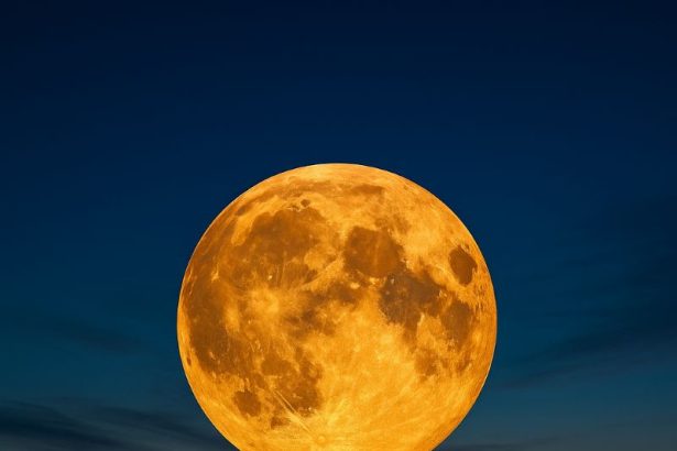 Rugpjūčio pilnatis 2025: ką reiškia Eršketų Mėnulis Zodiako ženklams