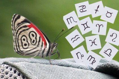 Veidrodinė data 8.08 atneš finansinę sėkmę: kurie Zodiako ženklai praturtės
