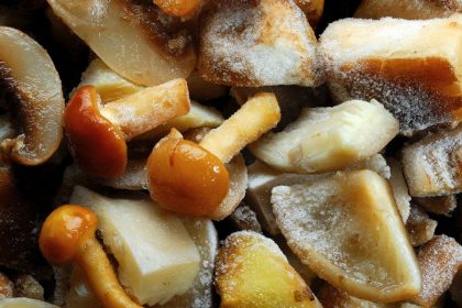 Ar grybus reikia apvirti prieš šaldant: kaip išsaugoti skonį ir aromatą