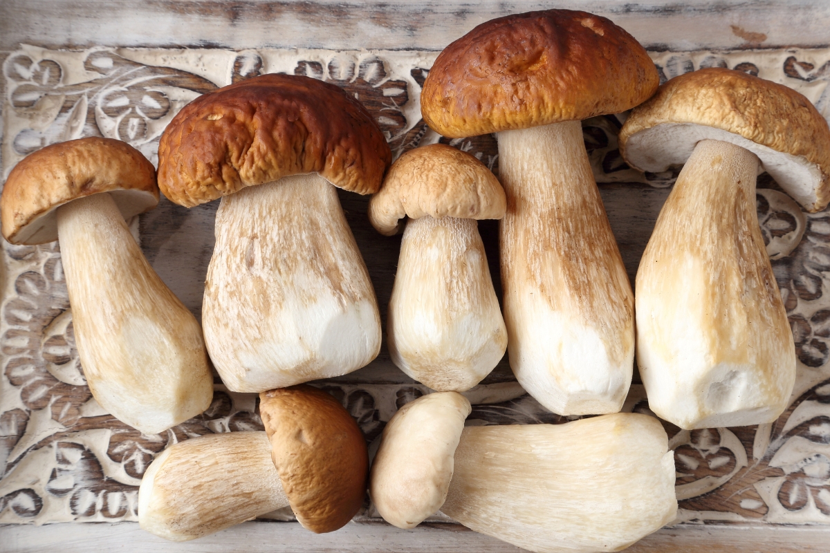 Štai kokių maisto produktų negalima valgyti kartu su grybais
