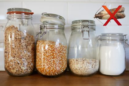 Kaip išnaikinti maistinių kandžių lervas? Veiksmingi patarimai!