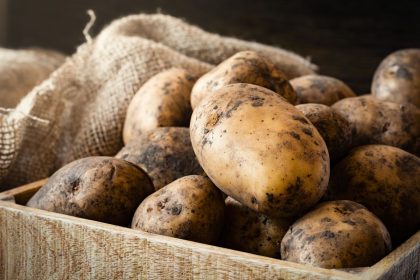 Ši klaida sugadins visą bulvių derlių iki pavasario – niekada nelaikykite jų kartu su šiuo produktu