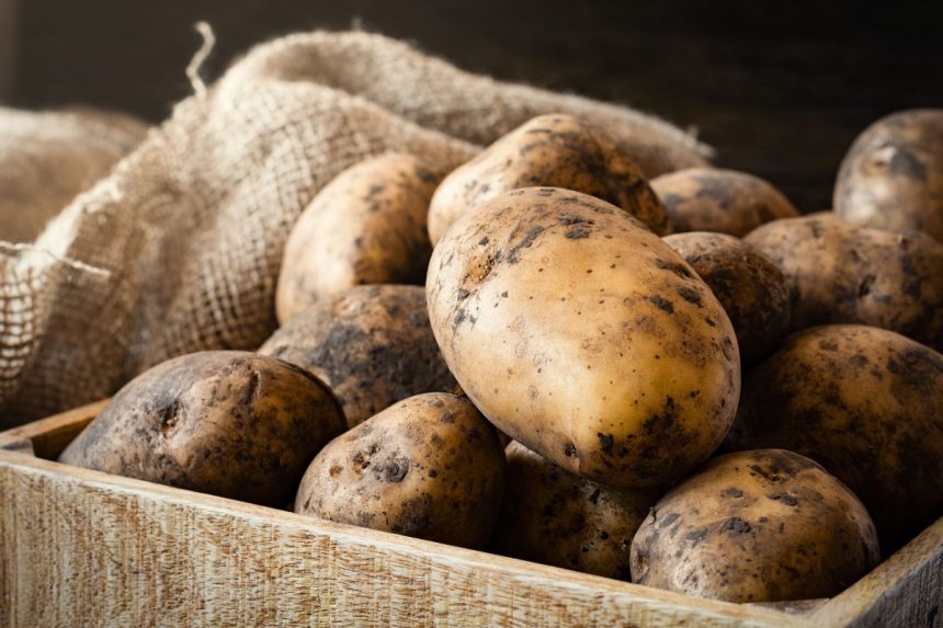 Ši klaida sugadins visą bulvių derlių iki pavasario – niekada nelaikykite jų kartu su šiuo produktu