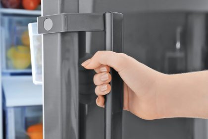 Lauro lapų paslaptis: įdėkite į šaldytuvą ir pamirškite nemalonius kvapus!