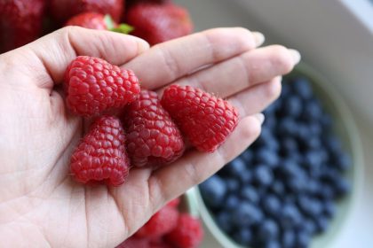 Avietės nustebins derliumi: vienas paprastas ingredientas padės užauginti milžiniškas uogas