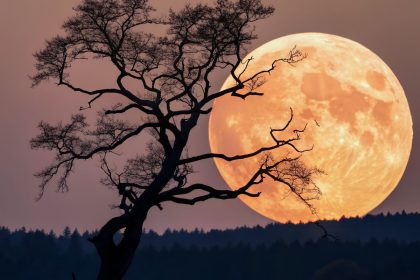 Derliaus pilnatis 2025 m. spalį: kada ją stebėti ir kokiems Zodiako ženklams ji turės stipriausią poveikį