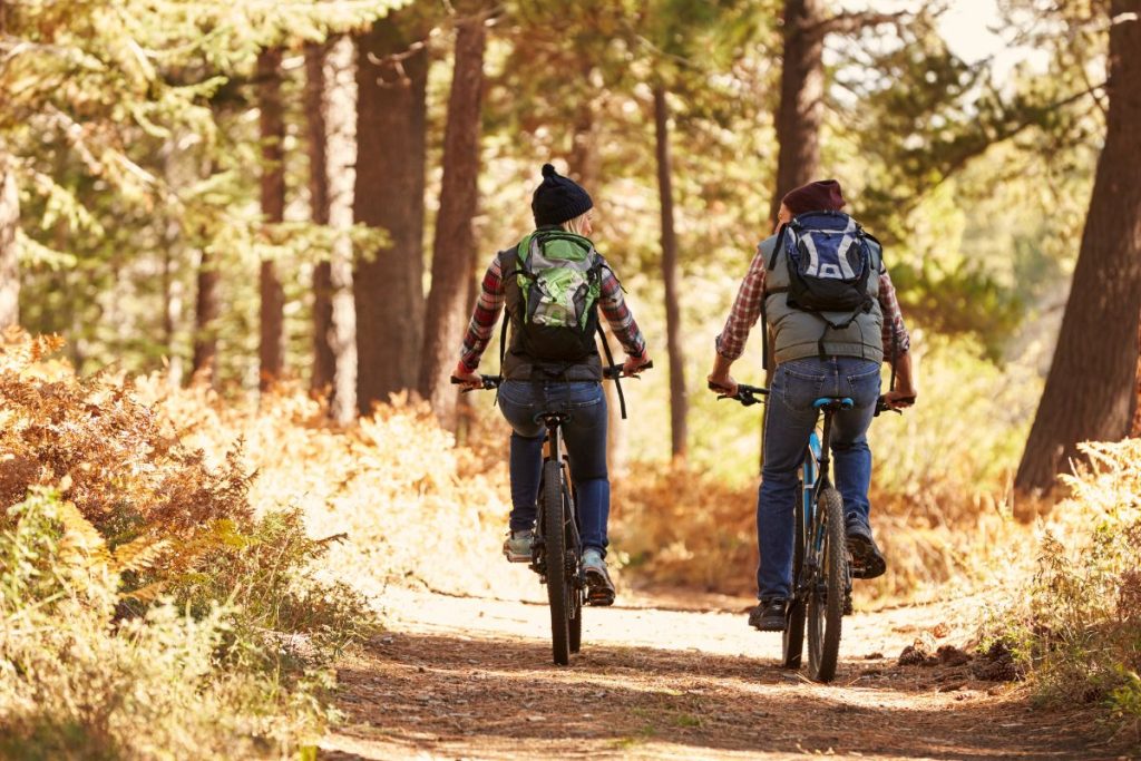 Kalnų dviratis ar hibridinis: kuris tinkamesnis aktyviam laisvalaikiui?