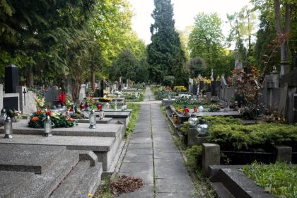 Kapų priežiūros patarimai