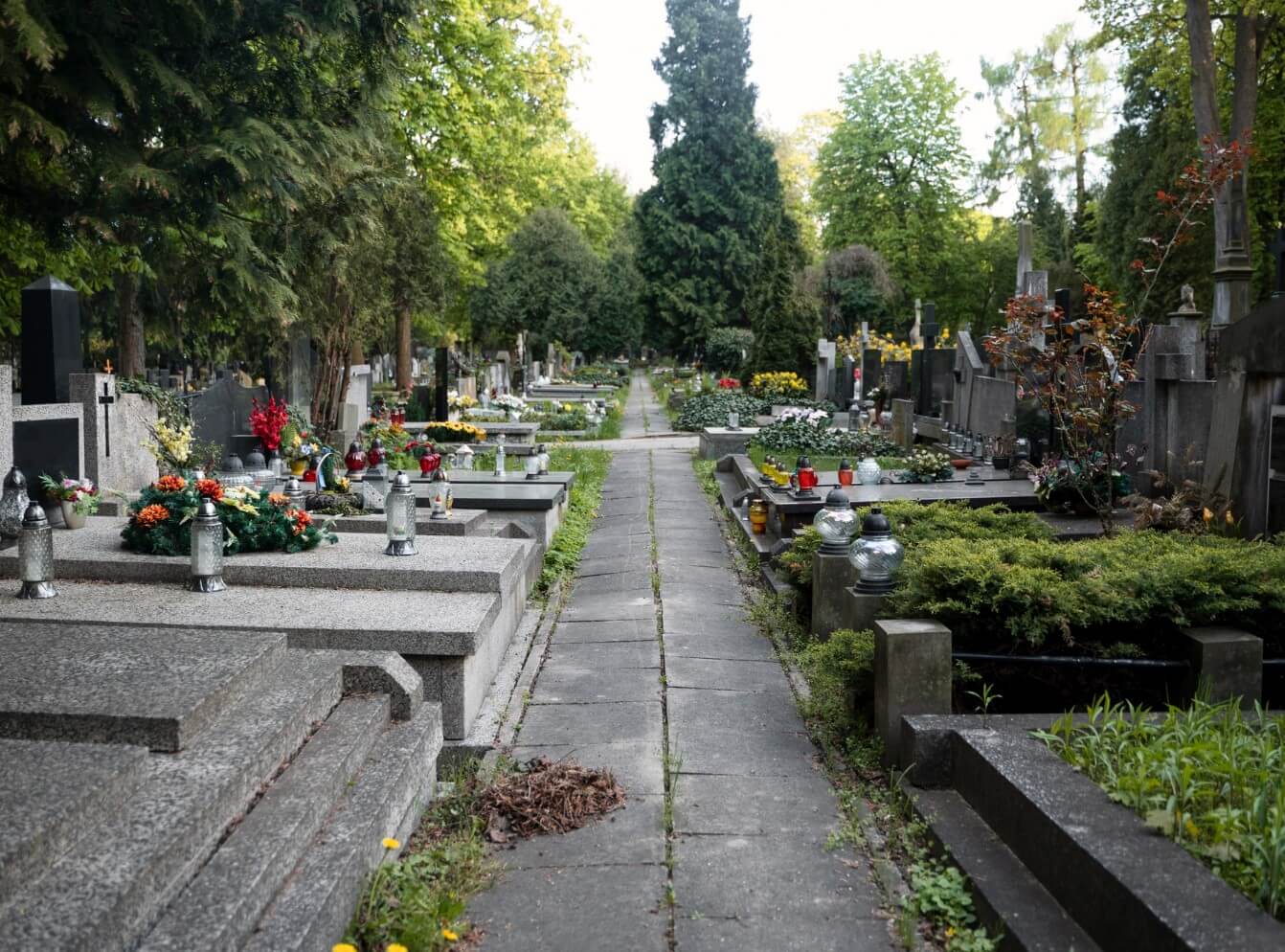 Šios kapų priežiūros taisyklės padės išvengti problemų prieš Vėlines