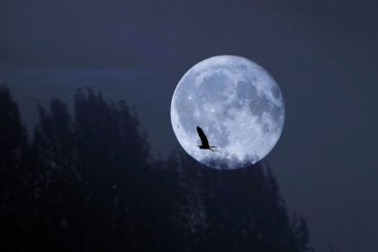 Spalio 7-osios pilnatis 2025: ką ji atneš kiekvienam Zodiako ženklui