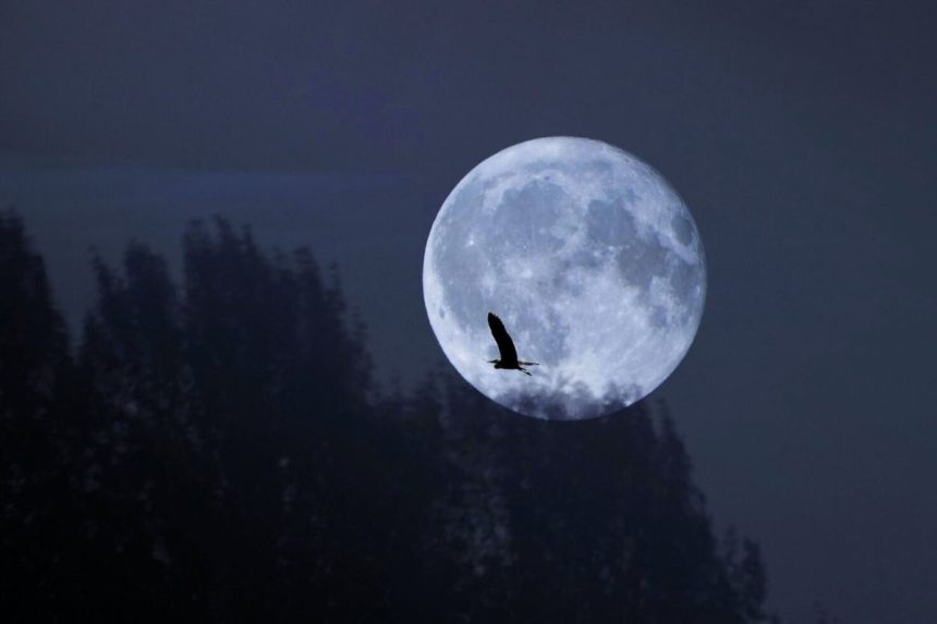 Spalio 7-osios pilnatis 2025: ką ji atneš kiekvienam Zodiako ženklui
