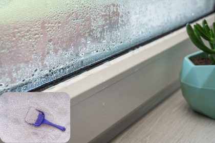 Paprastas kačių kraikas gali padėti sumažinti drėgmę ir kondensatą ant langų