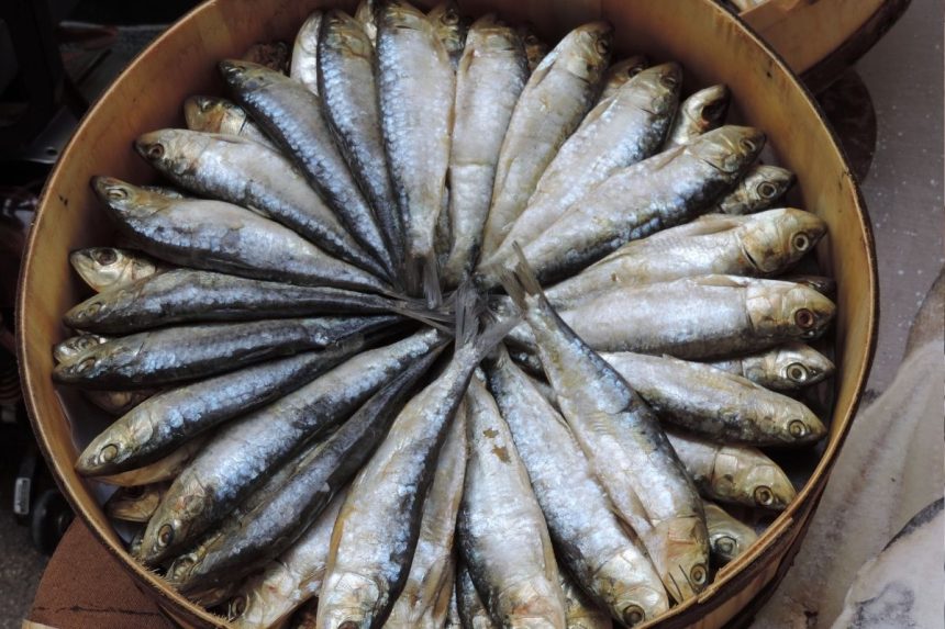 Kaip atpažinti idealią silkę: požymiai, kurių daugelis pirkėjų nepastebi