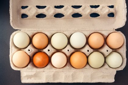 Kodėl kiaušinių nereikėtų laikyti šaldytuve: pavojai ir saugūs laikymo būdai
