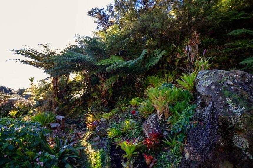 Rečiausia spalva gamtoje: kodėl violetinė beveik nesusidaro natūraliu būdu