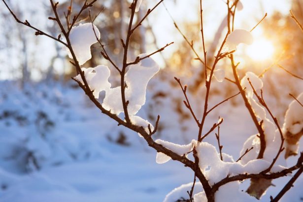 Žiemos saulėgrįža 2025 metais: kada bus ilgiausia metų naktis ir kuo šis metas ypatingas