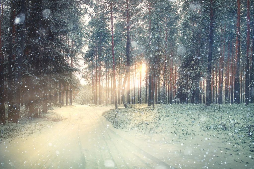 Kada žiemos saulėgrįža 2025 metais