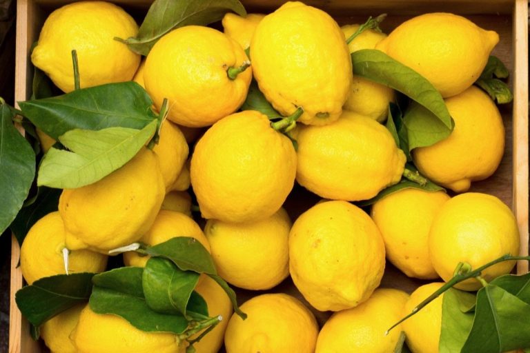 Citrina