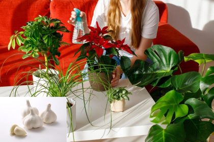 Natūrali trąša per 1 minutę: šis mišinys priverčia žydėti net pačius „užsispyrusius“ kambarinius augalus