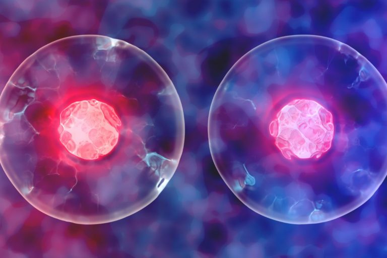 Philipas K. Dickas tai numatė dar prieš dešimtmečius: nuo interneto iki dirbtinio intelekto