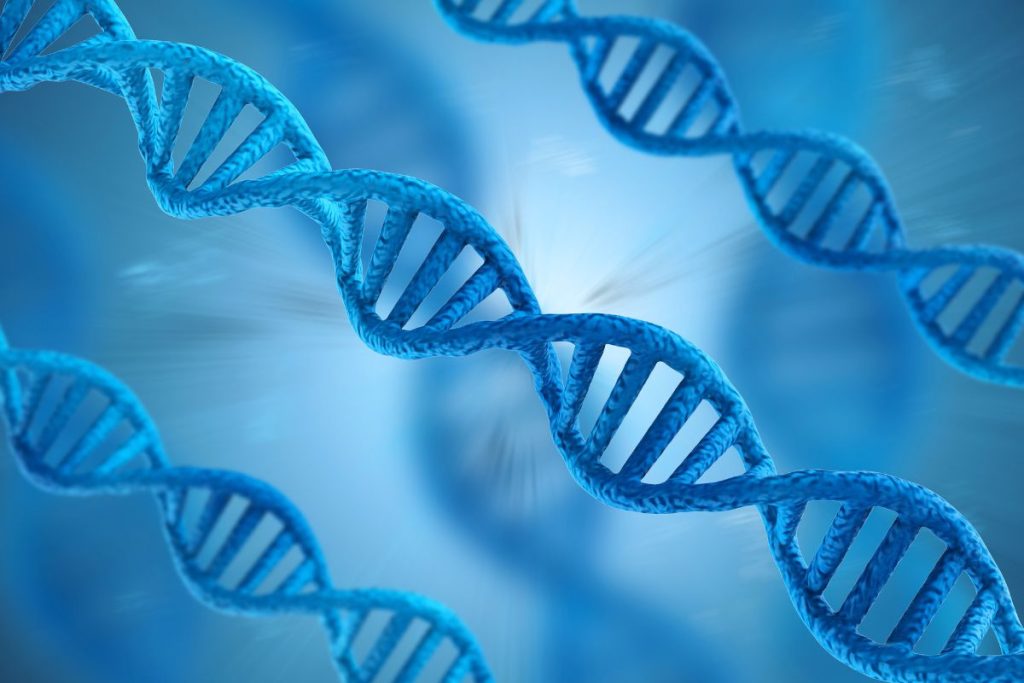 Klonavimas ir genetinės manipuliacijos