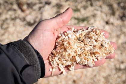 Šios pjuvenos gali nualinti dirvą: kaip jas naudoti teisingai ir kokių rūšių vengti