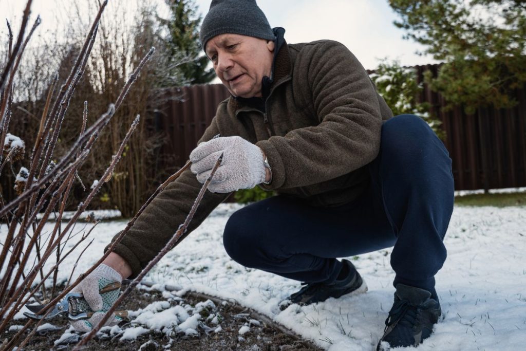 Viena sena klaida gali tapti sodo katastrofa: kodėl nebereikėtų naudoti sodo varo