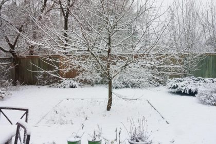 5 trąšos, kurias galima berti tiesiai ant sniego: agronomo patarimai žiemai