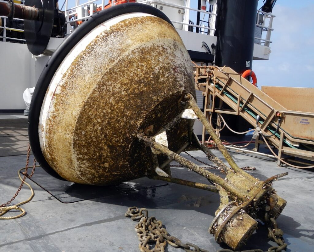 Tsunami Warning Buoy