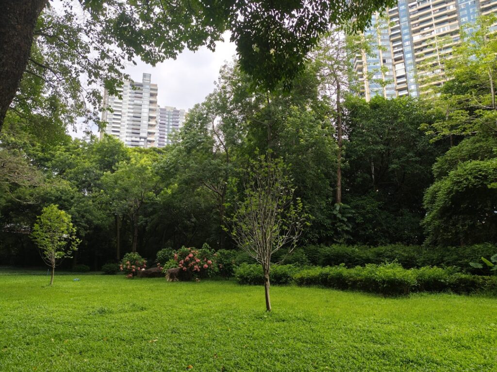 Lush green park with trees and buildings in background.