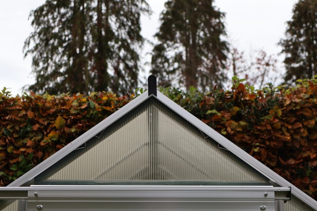 Greenhouse roof with autumn foliage and evergreen trees behind.