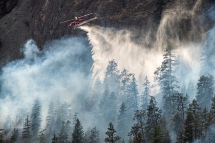 a helicopter flying over a forest