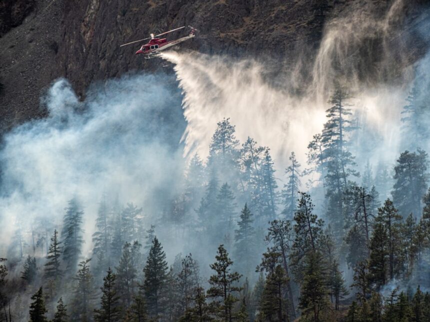 a helicopter flying over a forest