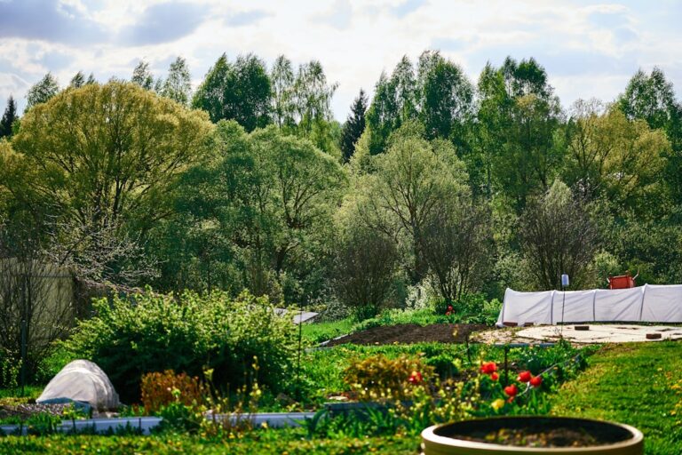 Lush green garden with blooming flowers and trees