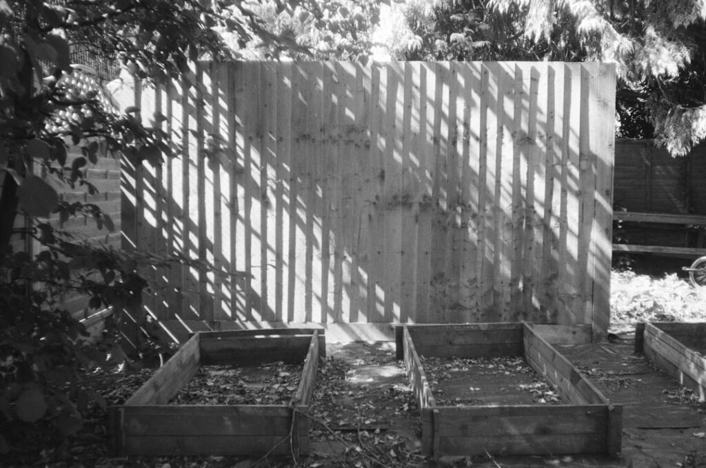 Shadows fall across raised garden beds.