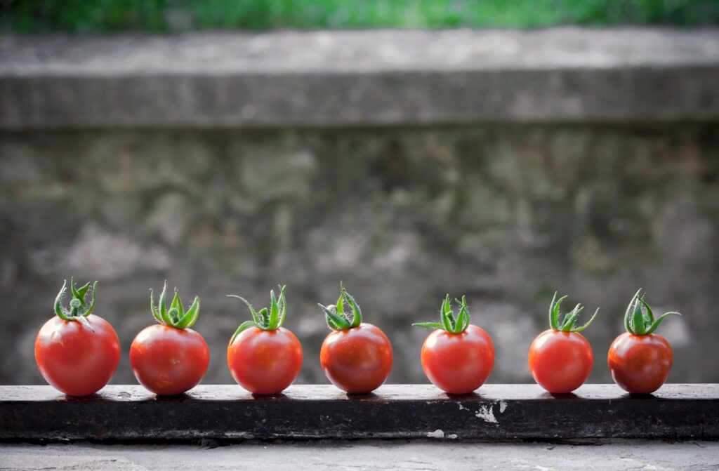 red tomatoes on black surface