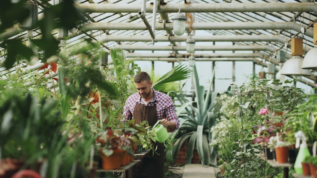 Man watering plants in a greenhouse